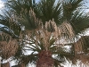 100_4661.jpg